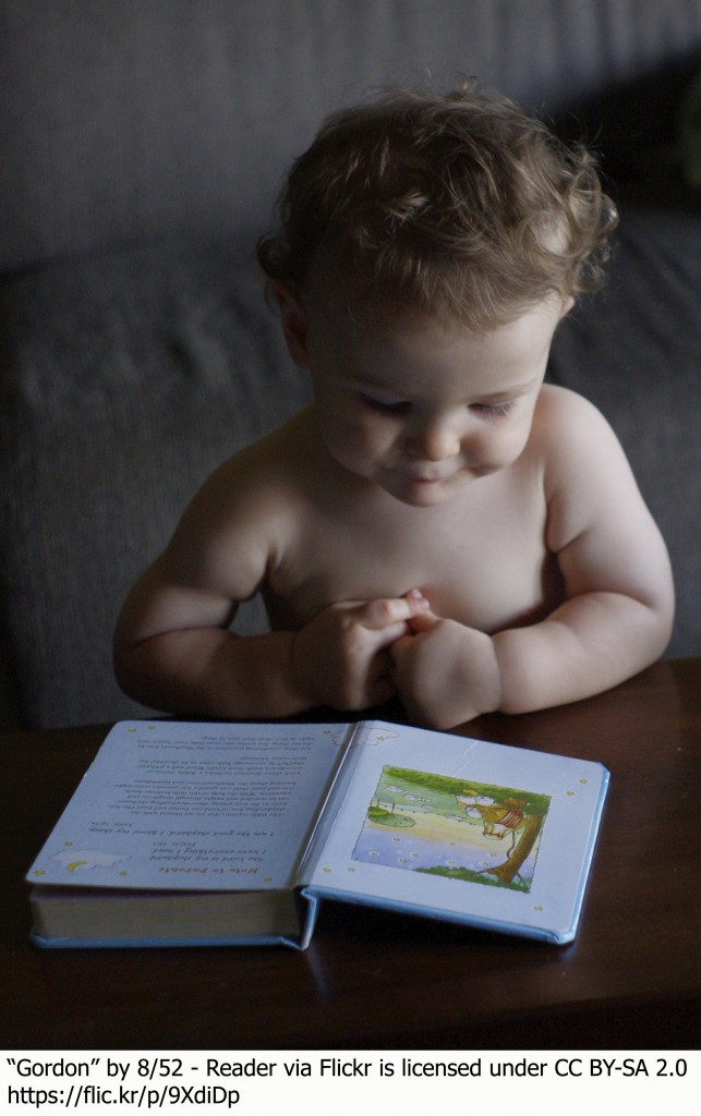 baby reading bilingual baby book