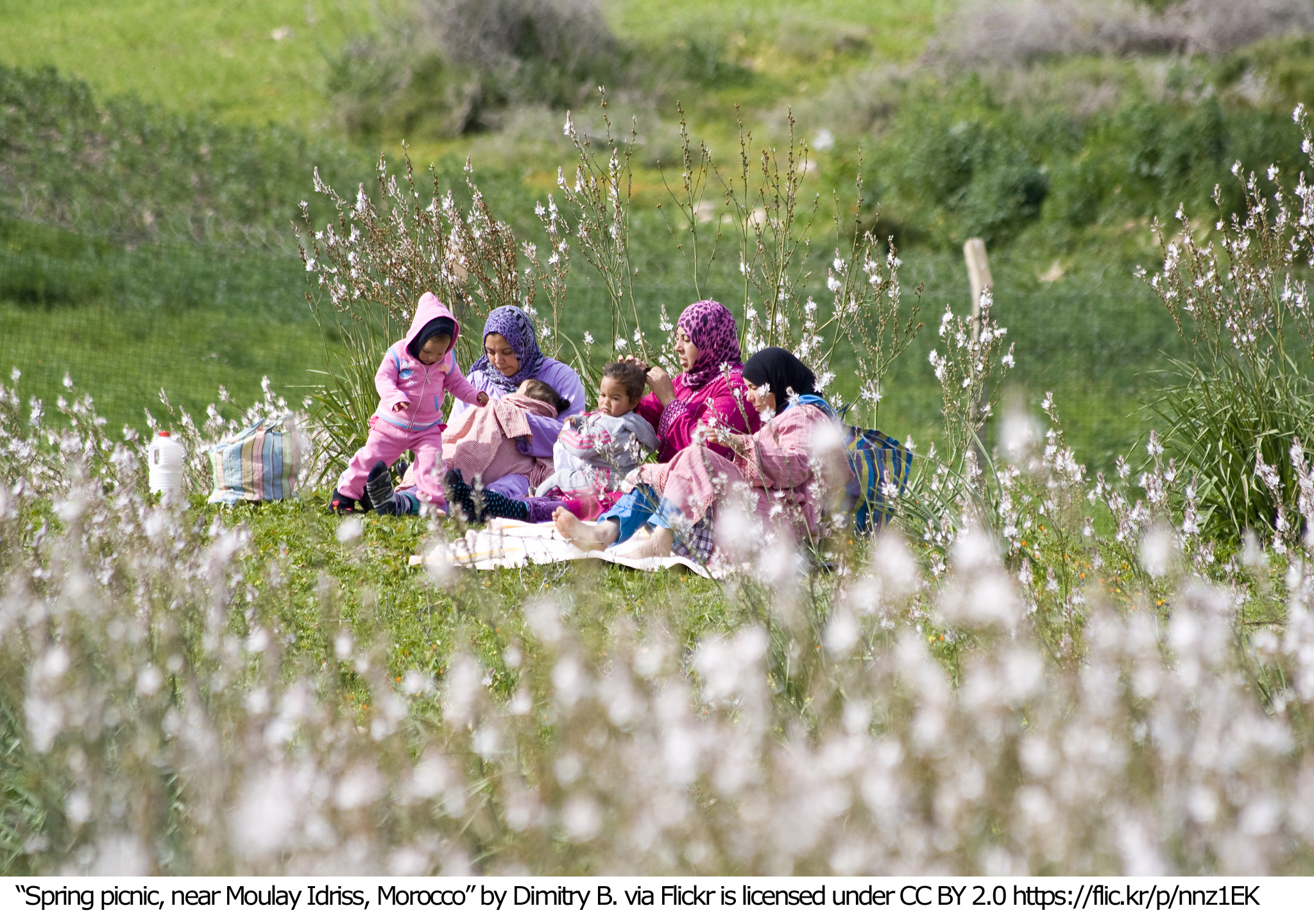 children and adults having a picnic